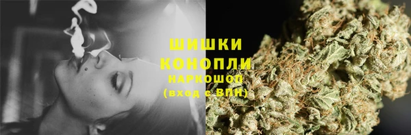 ГАЛЛЮЦИНОГЕННЫЕ ГРИБЫ Магас