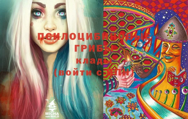 ECSTASY Майский