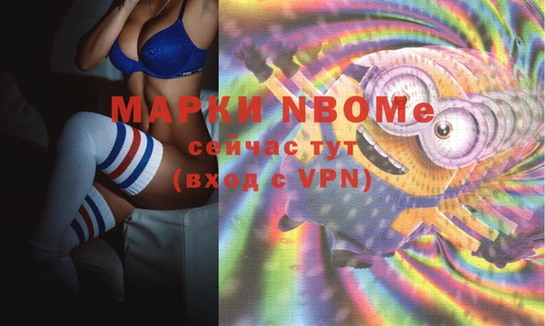 ГАЛЛЮЦИНОГЕННЫЕ ГРИБЫ Магас