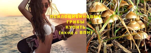соль ск Липки